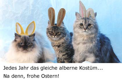 http://img.web.de/v/grusskarten/motive/Ostern/450/osterkatzen.jpg